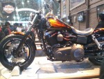 stylish-harley-davidson-street-bob